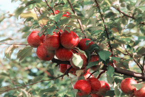 CE Finance - Website Coming Soon